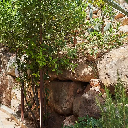Holiday home Rustico Segestale