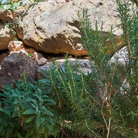 Rustico Segestale * Castellammare del Golfo